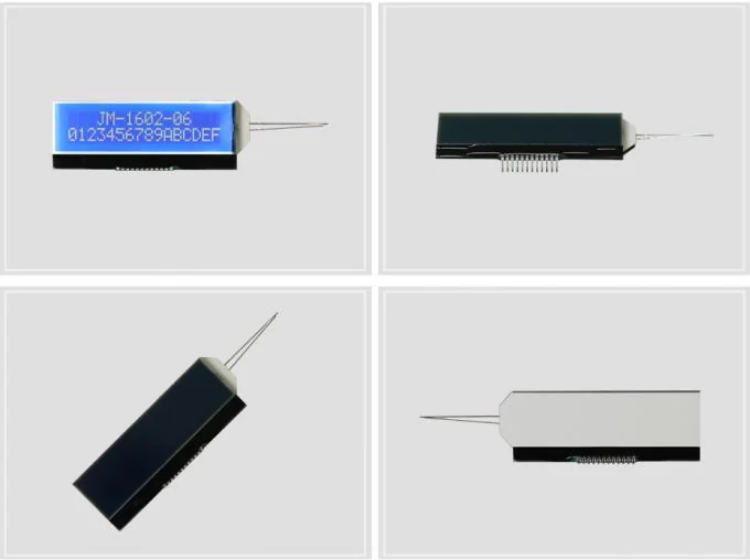 3V COG Monochrome Character LCD Display Module SPI LCD Monitor For Consumer Electronics - detail photo 1